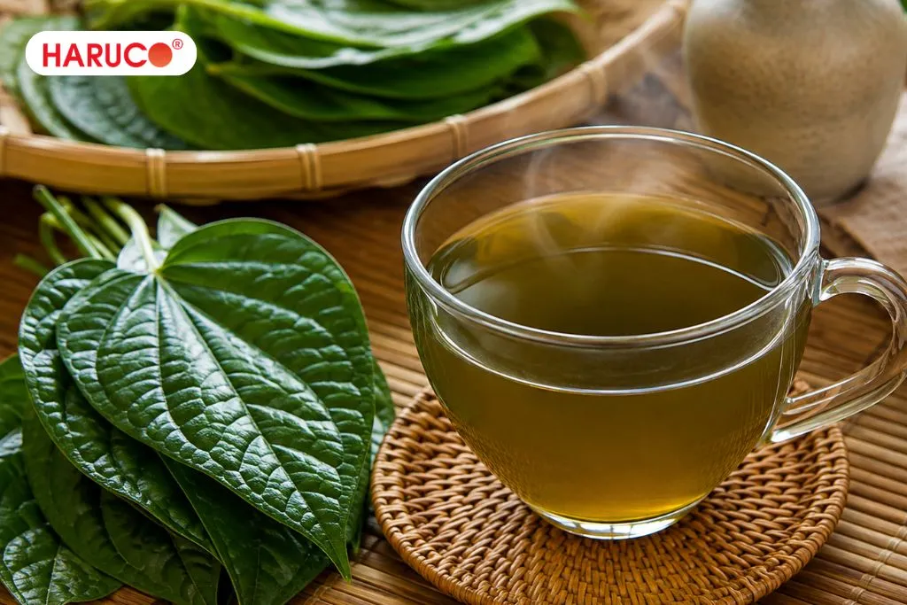 Lá lốt có uống được không?