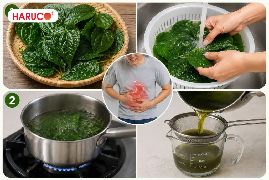 Nước lá lốt có tác dụng gì?