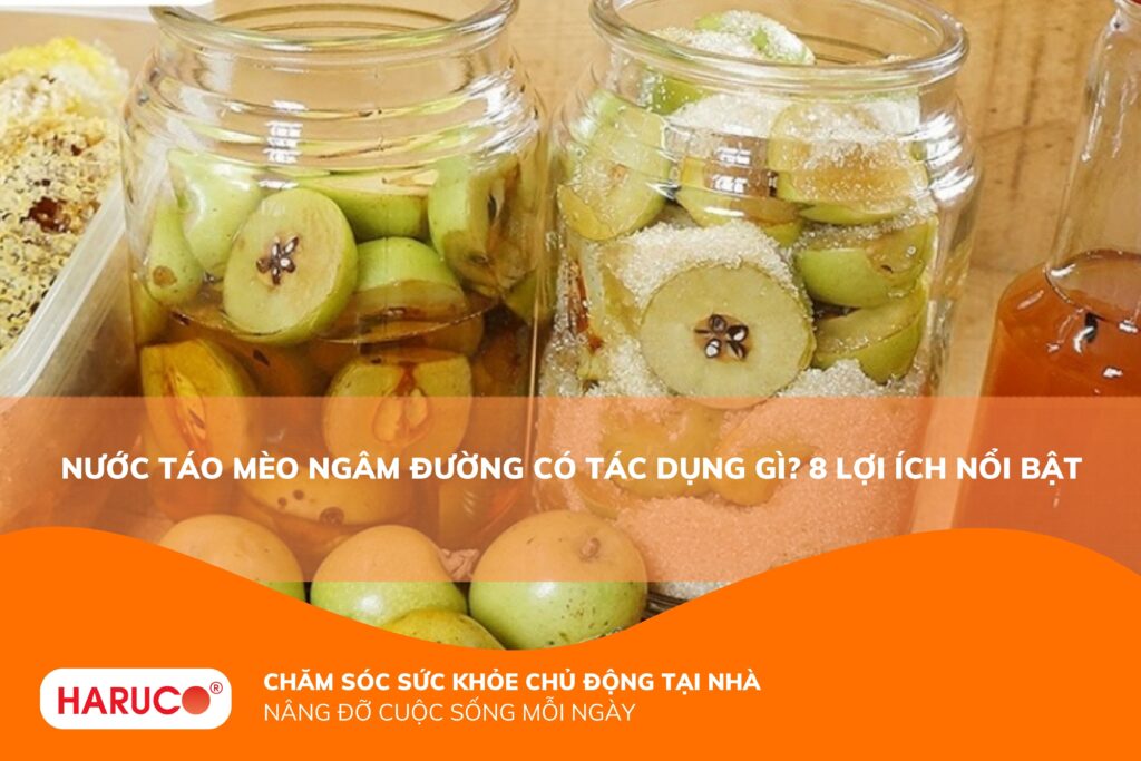 Nước táo mèo ngâm đường có tác dụng gì? Công dụng, cách uống và lưu ý cần nhớ