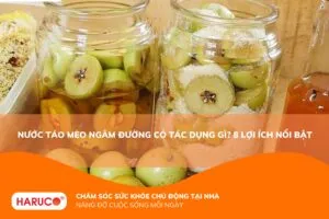Nước táo mèo ngâm đường có tác dụng gì? Công dụng, cách uống và lưu ý cần nhớ