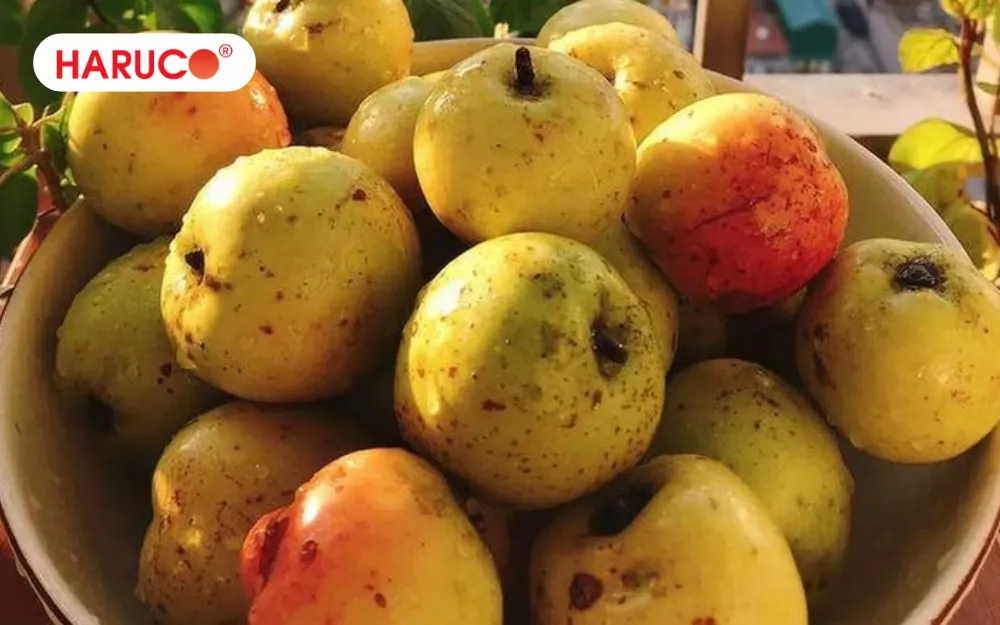 Táo mèo là loại quả đặc sản nổi tiếng của vùng núi Tây Bắc Việt Nam