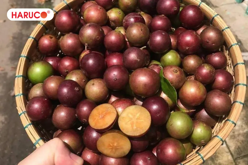 Mận quân là quả gì?