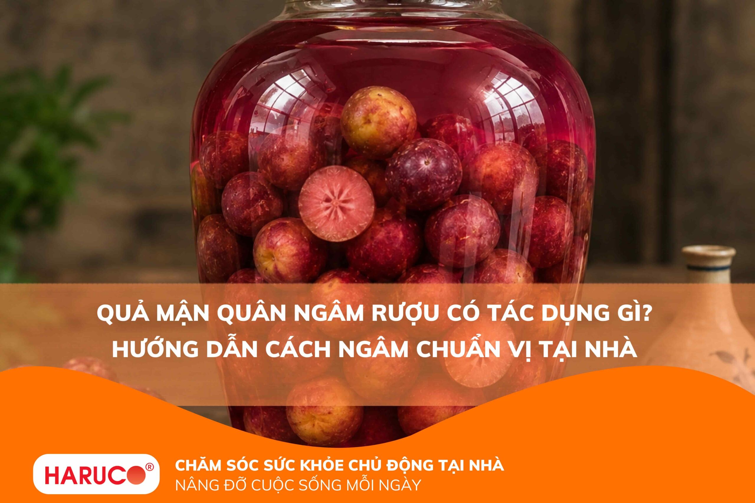 Quả mận quân ngâm rượu có tác dụng gì? Hướng dẫn cách ngâm chuẩn vị tại nhà