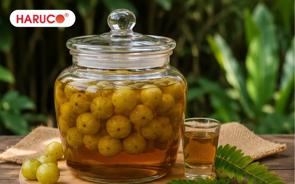 Để bình rượu quả me rừng ở nơi ổn định, tránh nhiệt độ quá cao