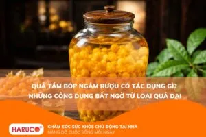 Quả tầm bóp ngâm rượu có tác dụng gì