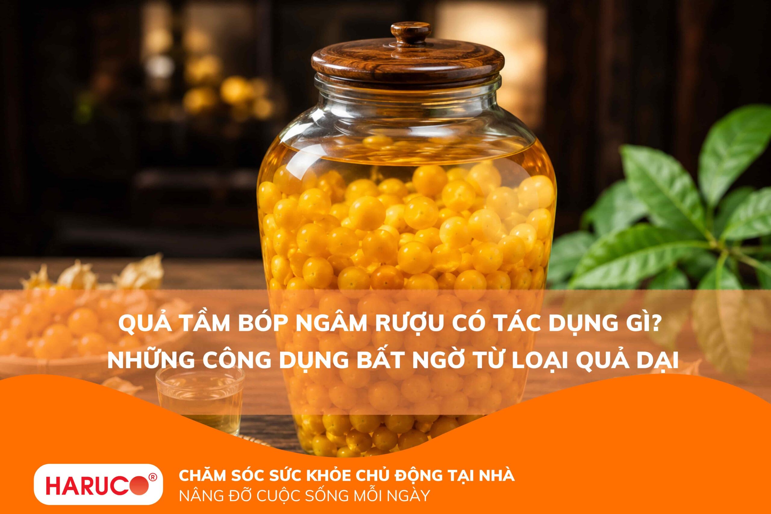 Quả tầm bóp ngâm rượu có tác dụng gì? Những công dụng bất ngờ từ loại quả dại