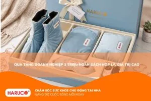 Quà tặng doanh nghiệp 1 triệu ngân sách hợp lý, giá trị cao