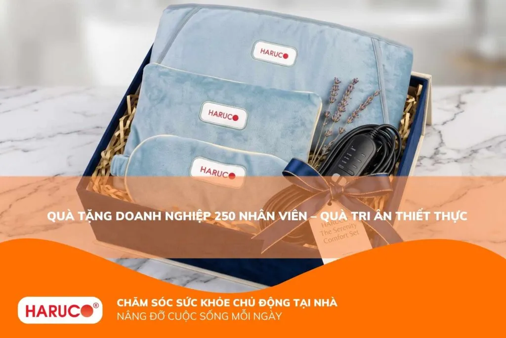 Quà tặng doanh nghiệp 250 nhân viên tối ưu chi phí