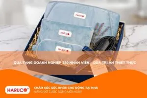 Quà tặng doanh nghiệp 250 nhân viên tối ưu chi phí