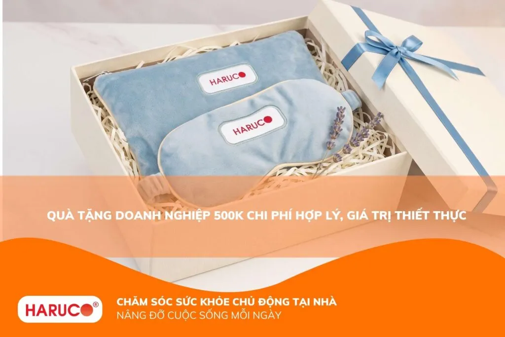 Quà tặng doanh nghiệp 500k chi phí hợp lý, giá trị thiết thực