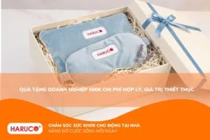 Quà tặng doanh nghiệp 500k chi phí hợp lý, giá trị thiết thực
