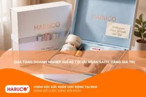 Quà tặng doanh nghiệp giá rẻ tối ưu ngân sách, tăng giá trị