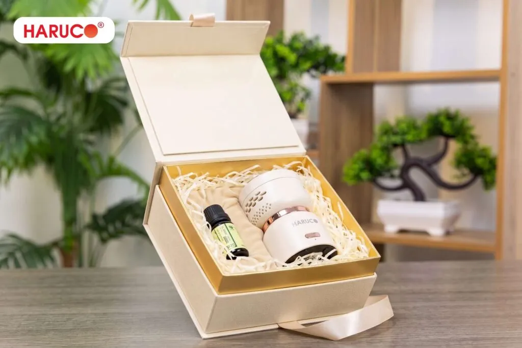 quà tặng doanh nghiệp giá rẻ máy xông ngải cứu