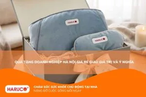 Quà tặng doanh nghiệp Hà Nội giá rẻ – Giải pháp tri ân giàu giá trị