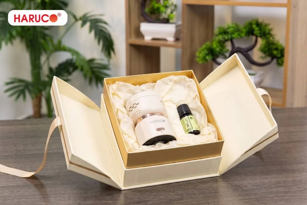 quà tặng doanh nghiệp giá rẻ máy xông ngải cứu