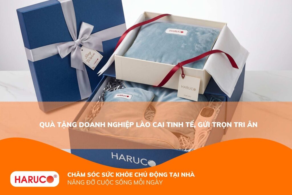 Quà tặng doanh nghiệp Lào Cai – Đong đầy tâm ý, vẹn tròn giá trị