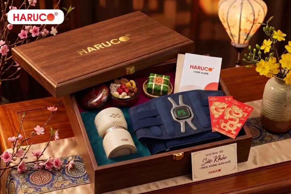 Quà tết tặng khách hàng doanh nghiệp máy xông ngải cứu