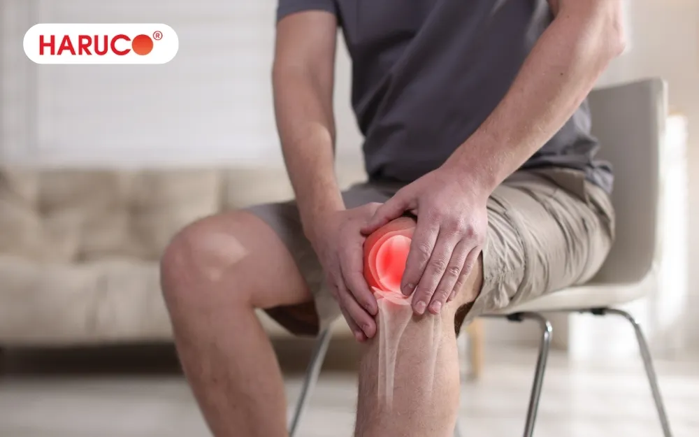 Rượu rễ cây cỏ xước hỗ trợ giảm đau nhức xương khớp