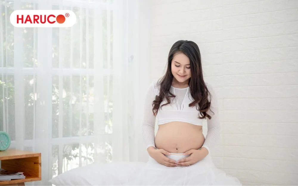 Phụ nữ có thai không được sử dụng rễ cây nhàu ngâm rượu