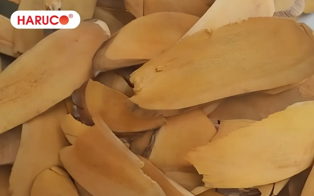 Hình ảnh rễ cây nhàu khi đã được sơ chế và phơi khô
