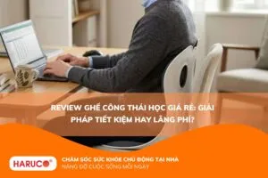 Review ghế công thái học giá rẻ: Giải pháp tiết kiệm hay lãng phí?