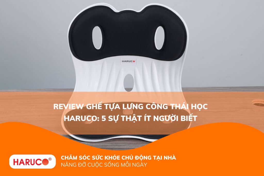 Review ghế tựa lưng công thái học Haruco: 5 sự thật ít người biết