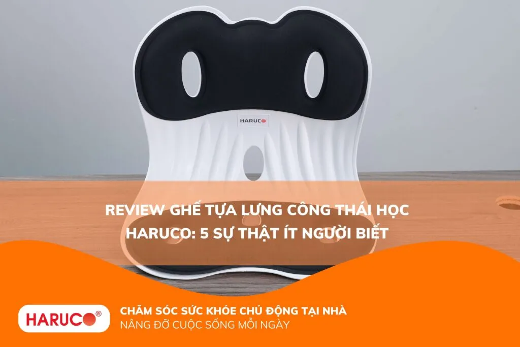 Review ghế tựa lưng công thái học Haruco: 5 sự thật ít người biết