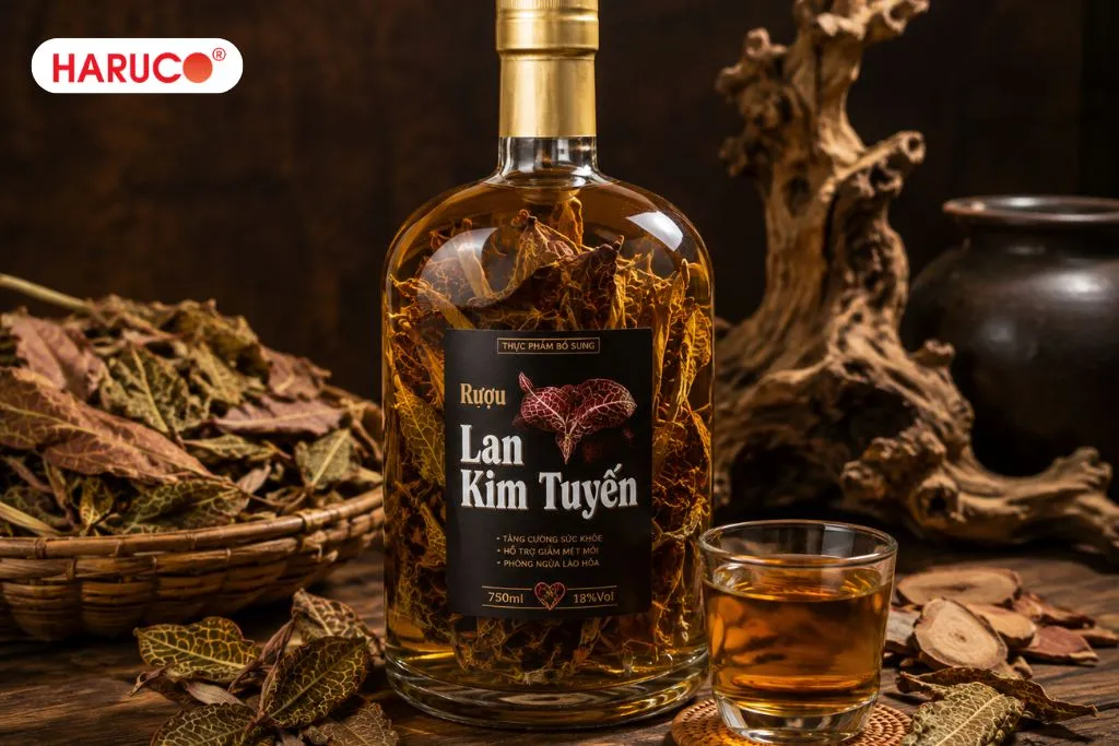 Hướng dẫn ngâm rượu lan kim tuyến chuẩn