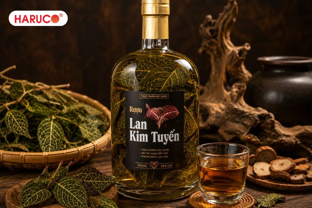 Hướng dẫn ngâm rượu lan kim tuyến chuẩn