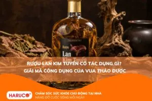 Rượu lan kim tuyến có tác dụng gì