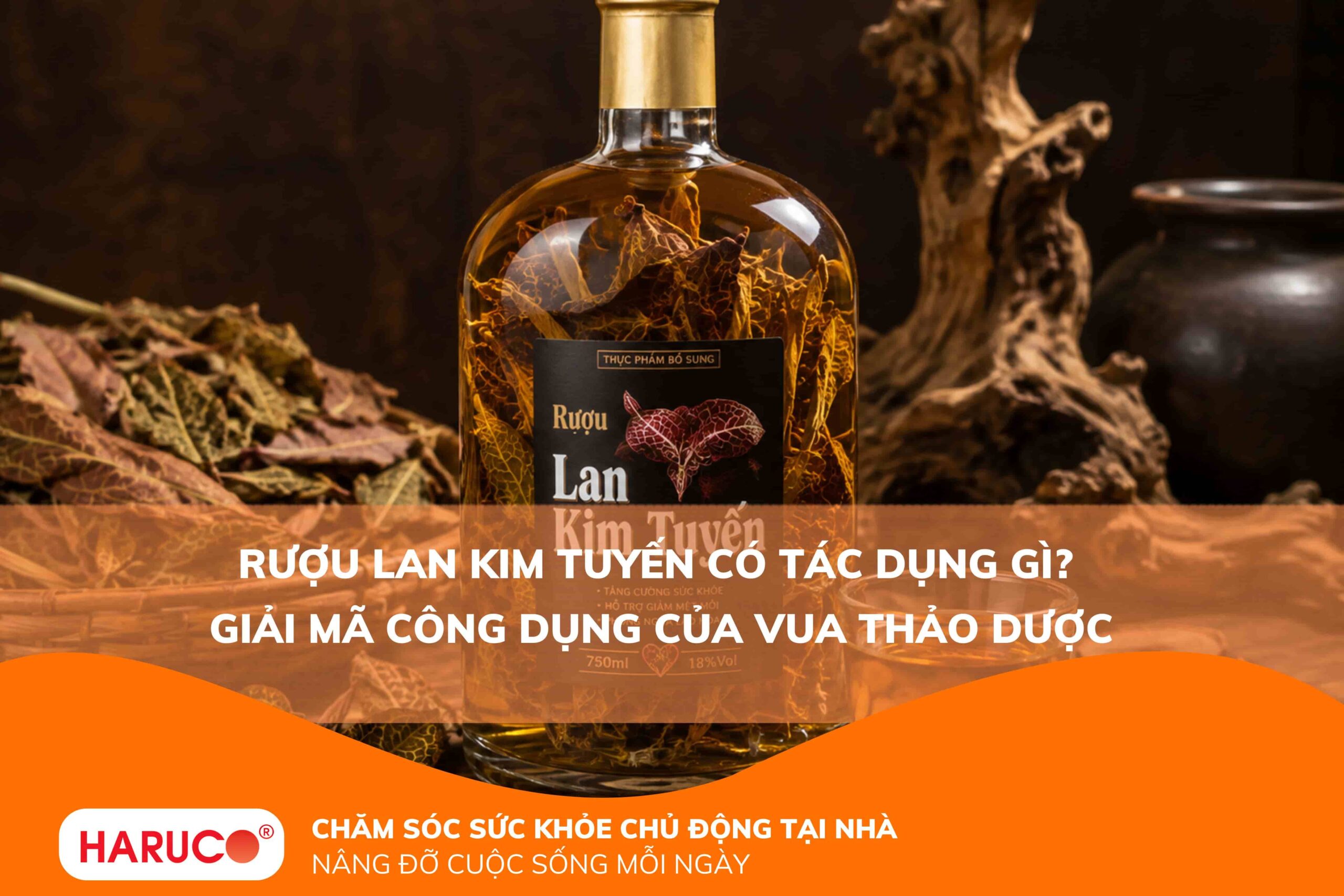 Rượu lan kim tuyến có tác dụng gì? Giải mã công dụng của vua thảo dược