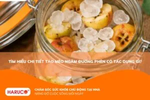 Táo mèo ngâm đường phèn có tác dụng gì? Công dụng và cách dùng đúng