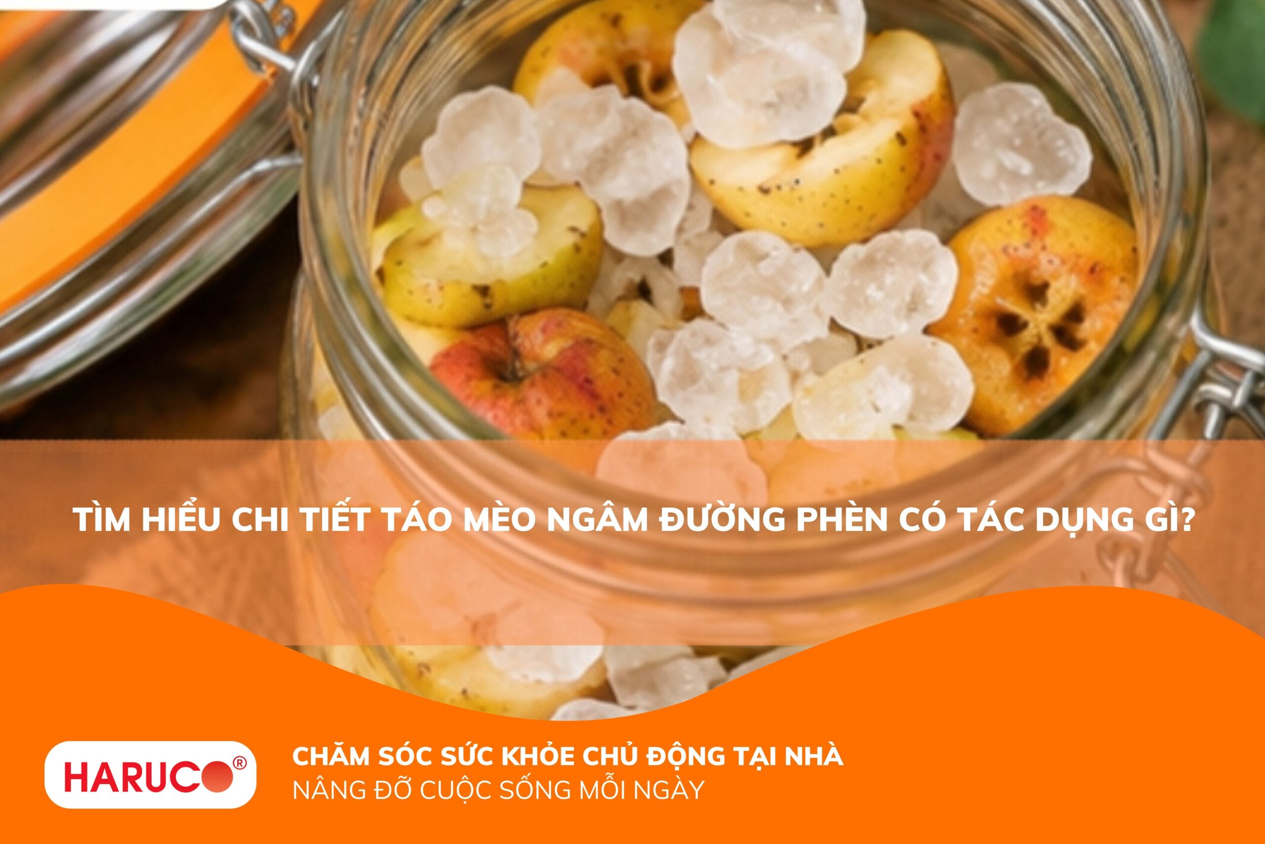 Táo mèo ngâm đường phèn có tác dụng gì? Công dụng và cách dùng đúng