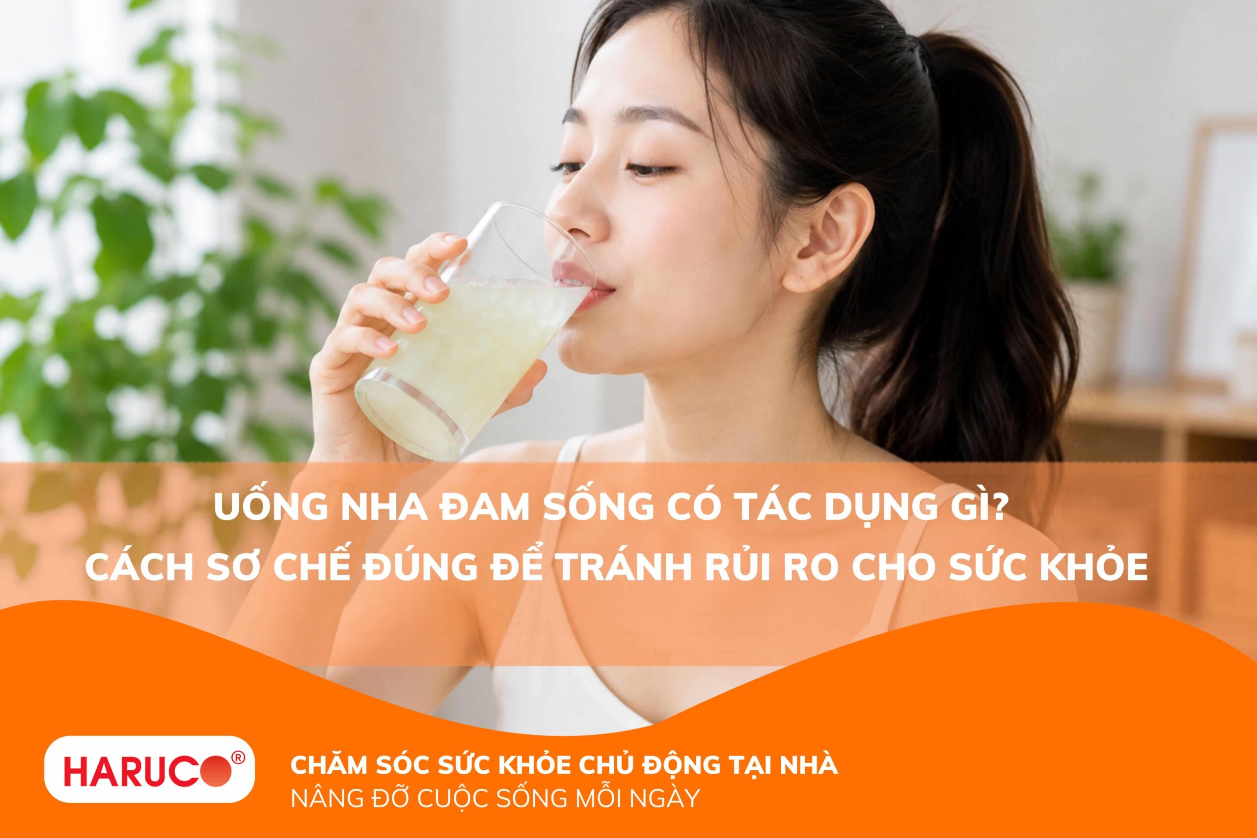 Uống nha đam sống có tác dụng gì? Cách sơ chế đúng để tránh rủi ro cho sức khỏe