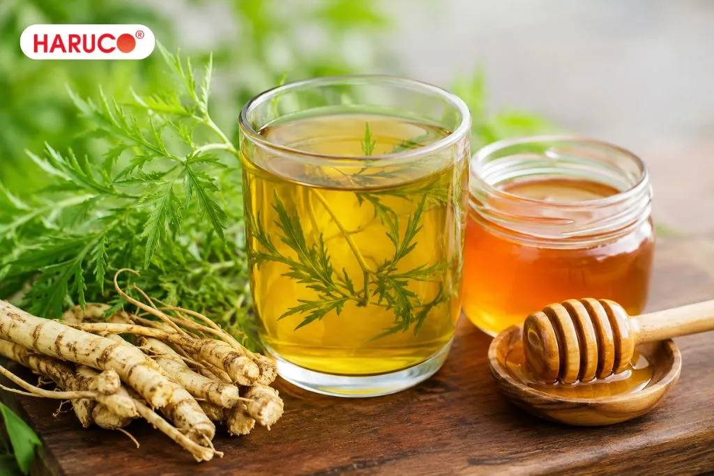 Uống nước lá đinh lăng có tác dụng gì?