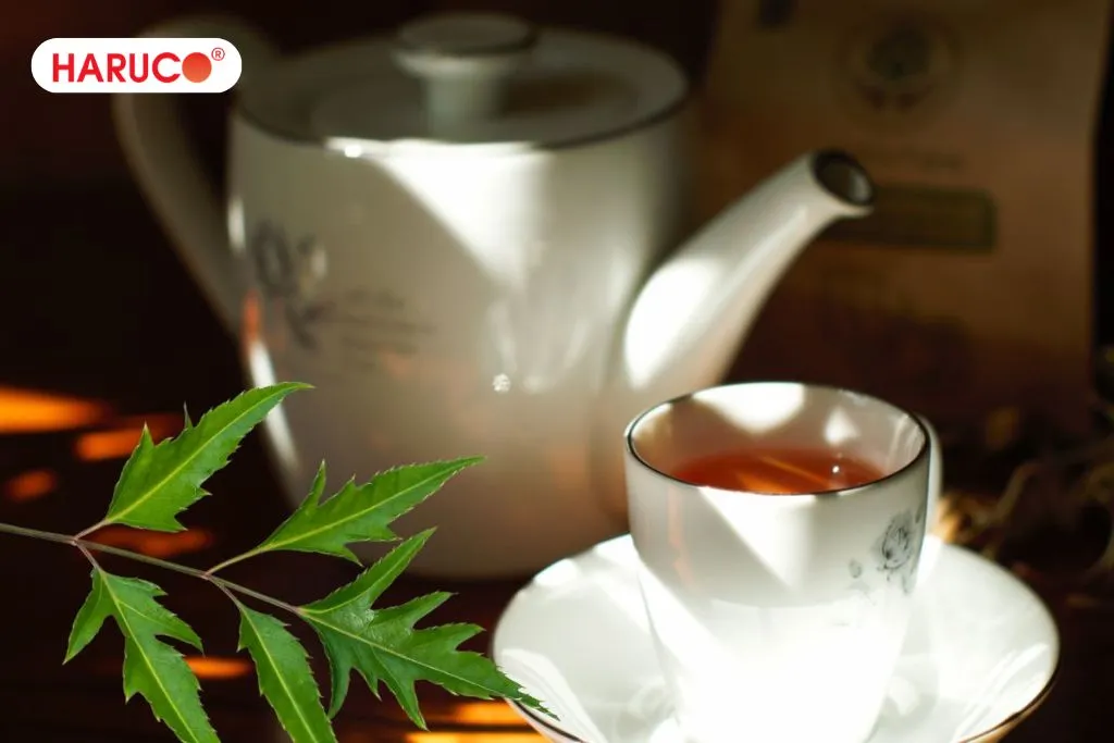 Cách sử dụng nước lá đinh lăng an toàn 