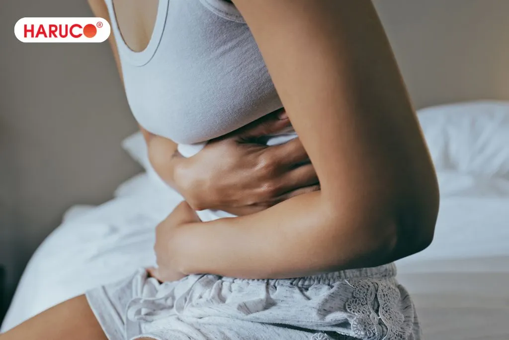 Lưu ý cần biết khi uống lá đinh lăng
