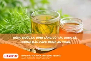 uống nước lá đinh lăng có tác dụng gì