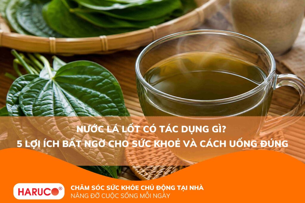 Nước lá lốt có tác dụng gì? 5 lợi ích bất ngờ cho sức khoẻ và cách uống đúng