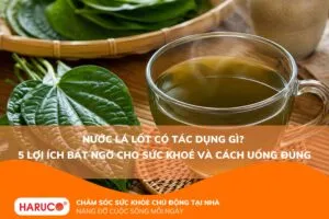 nước lá lốt có tác dụng gì