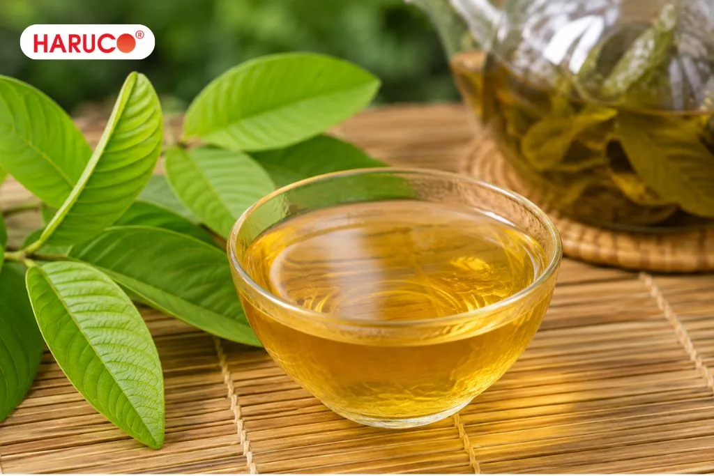 Lưu ý khi sử dụng nước lá ổi tươi để uống