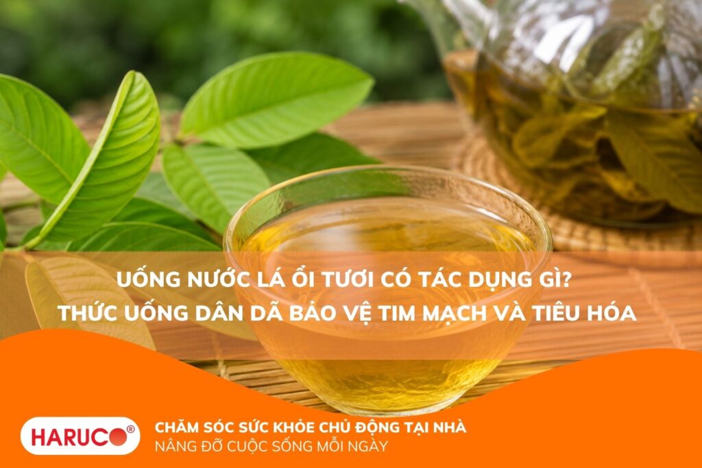 Uống nước lá ổi tươi có tác dụng gì? Thức uống dân dã bảo vệ tim mạch và tiêu hóa