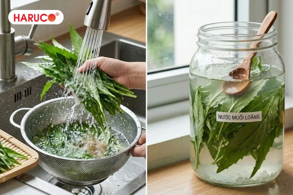Hướng dẫn pha nước uống lá xương sông