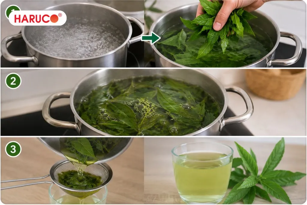 Hướng dẫn pha nước uống lá xương sông