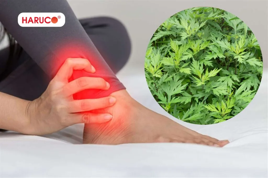 Cách chườm ngải cứu khi bị bong gân đúng cách