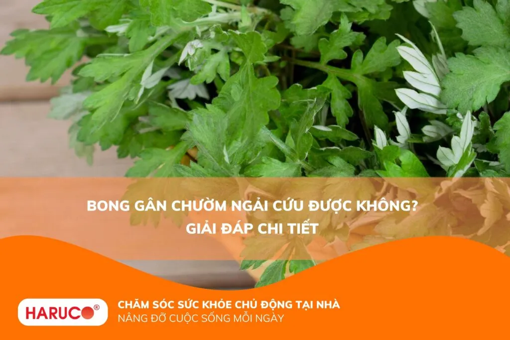 Bong gân chườm ngải cứu được không? Giải đáp chi tiết