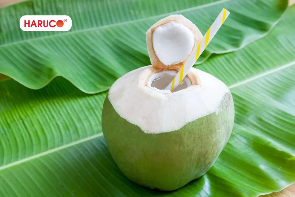 Những ai nên hạn chế hoặc thận trọng khi uống nước dừa?