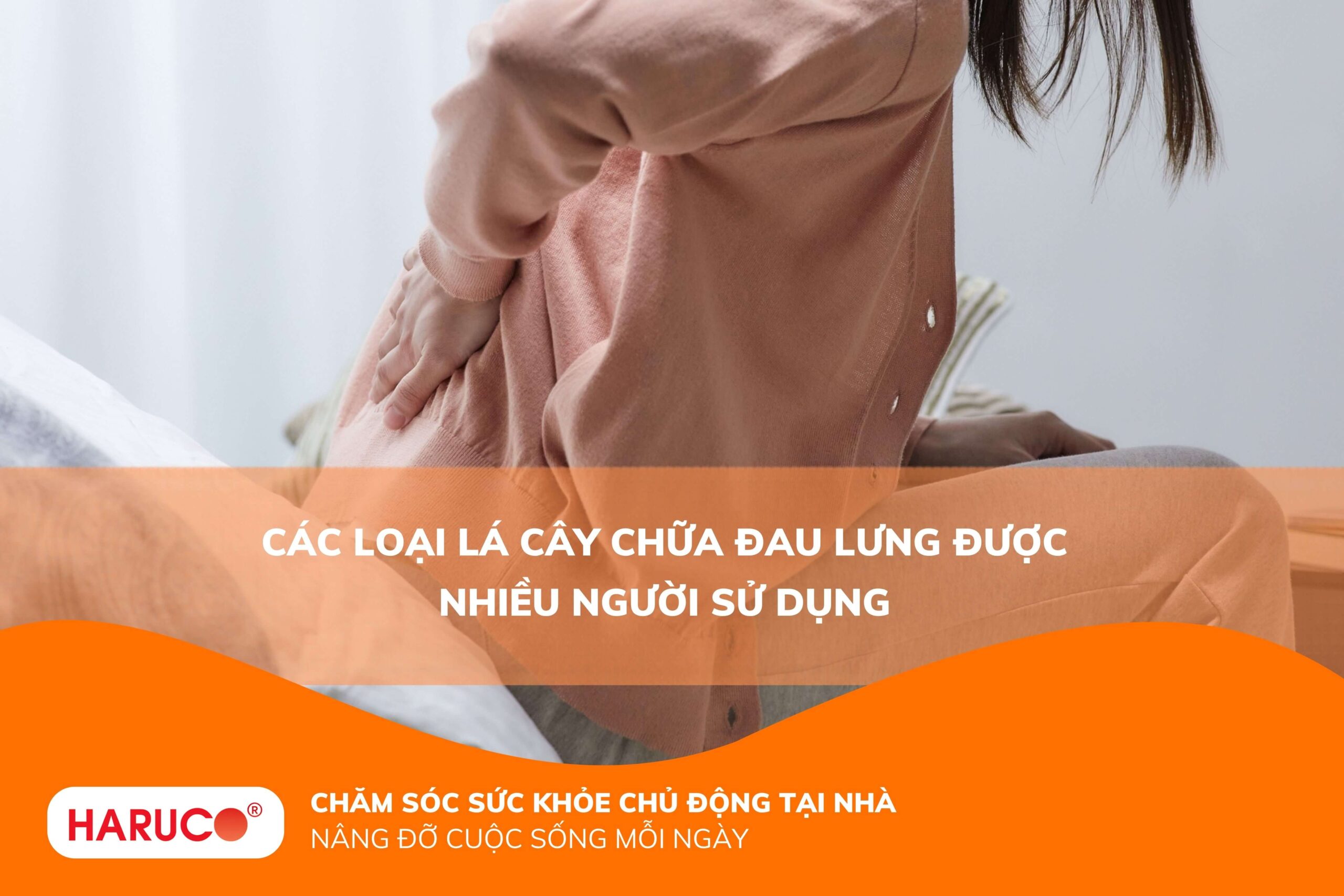 Các loại lá cây chữa đau lưng được nhiều người sử dụng