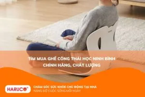 Tìm mua ghế công thái học Ninh Bình chính hãng, chất lượng