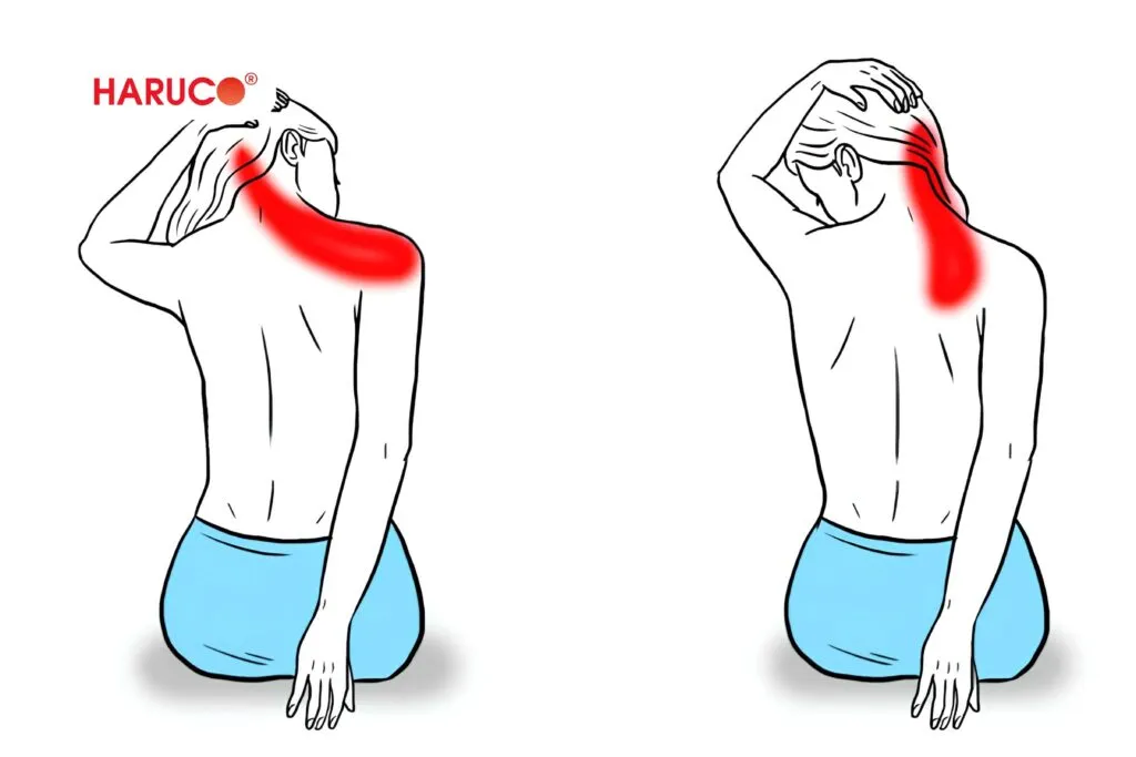 Các bài tập giãn cơ, thư giãn giúp giảm đau lưng trên